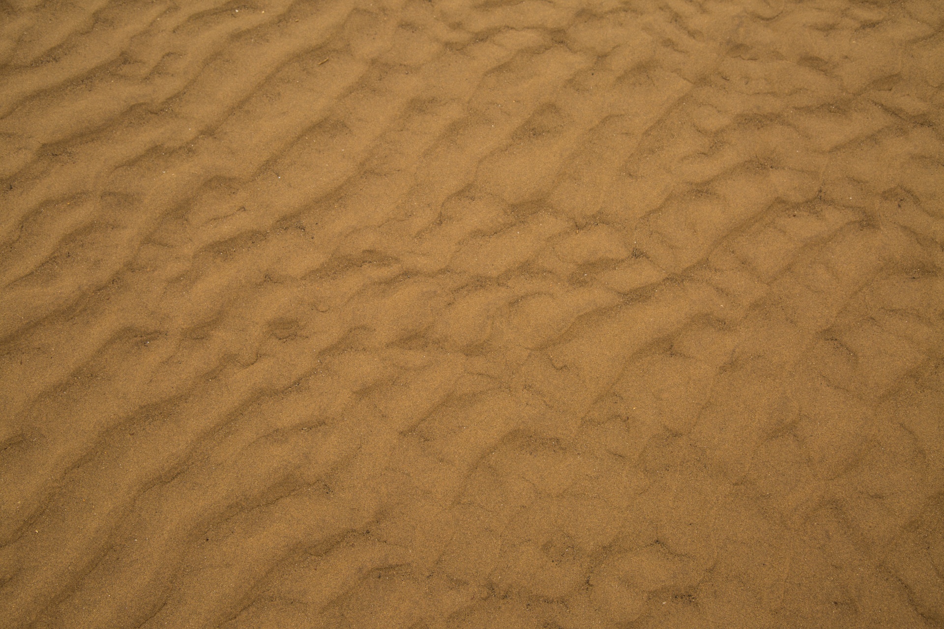 SSR | Sandy City logo