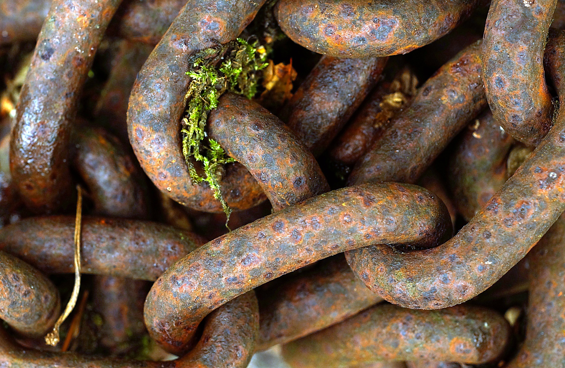 SSR | Unchained logo